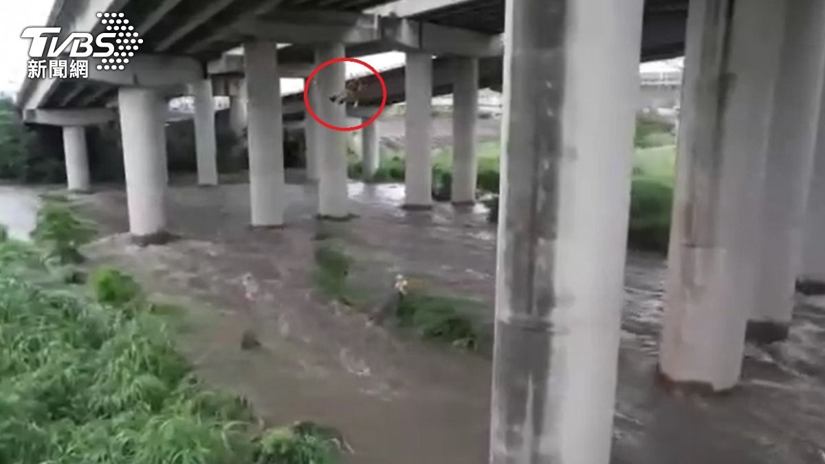釣魚險沒命!台中暴雨男受困沙洲 消防「高空吊掛」救人