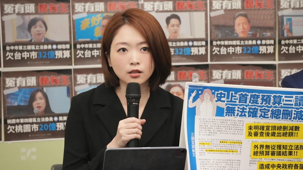 韓瑩表示,總預算爭議的罪魁禍首就是藍白。(圖/民進黨提供)