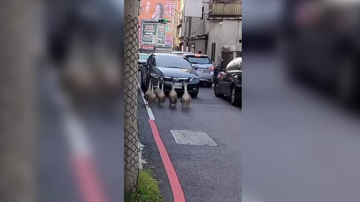圖／翻攝自 彰化人大小事