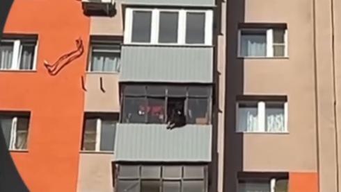 牧羊犬不斷吠叫。(圖/翻攝自@ntv_chp)