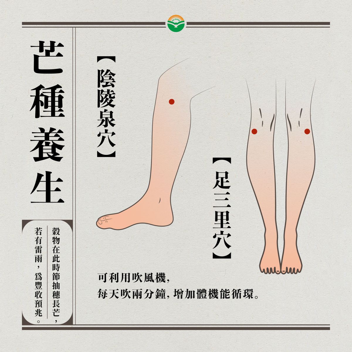 芒種節氣-芒種意思-芒種習俗-芒種節氣意思-芒種下雨-芒種養生-芒種諺語-芒種吃什麼-芒種節氣吃什麼？-為什麼叫芒種？