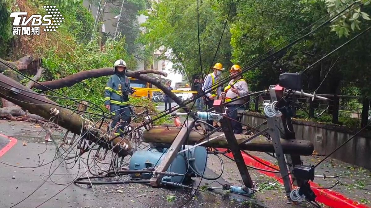 事故可能是因連日降雨導致土石鬆動,加上路樹年久根基不穩,倒塌時勾扯電線造成電桿連帶斷裂。(圖/TVBS)