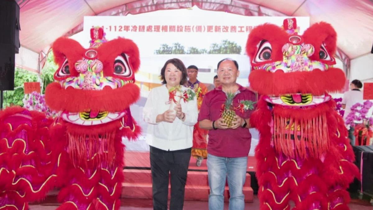 圖／翻攝自 嘉義市府官網