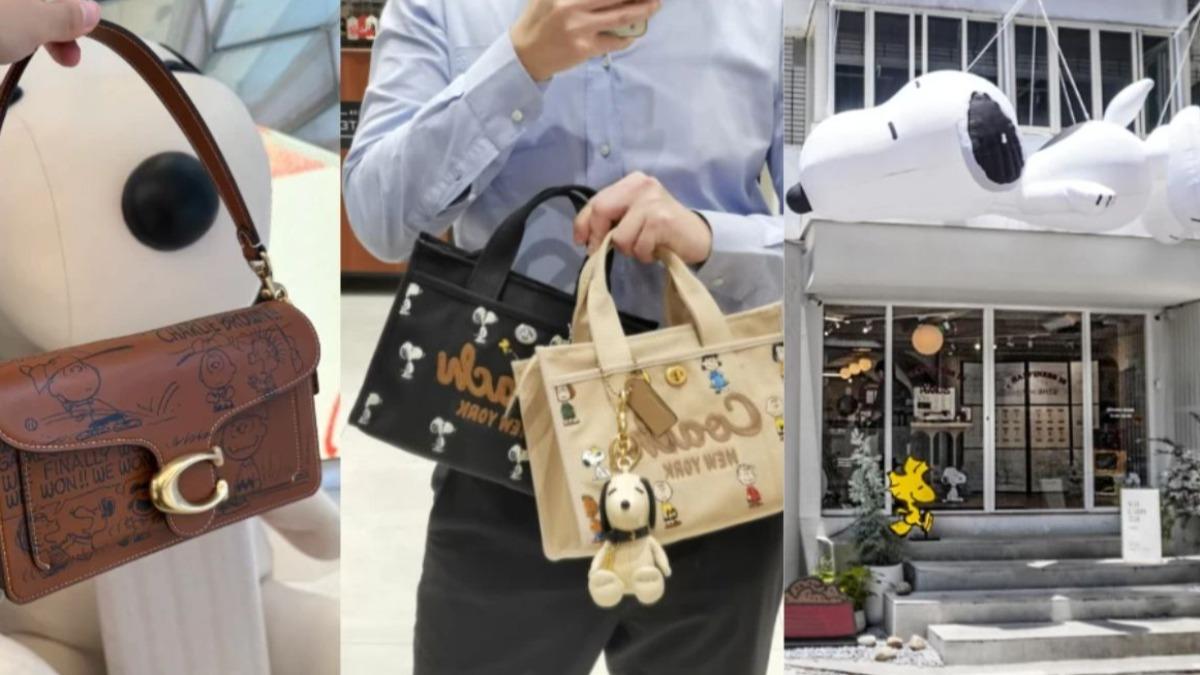 史努比和精品品牌Coach、台灣平價飾品品牌vacanza推出聯名系列。（圖／翻攝自小紅書@Melissa溜啦、爱喝冰美式的66、vacanza提供）