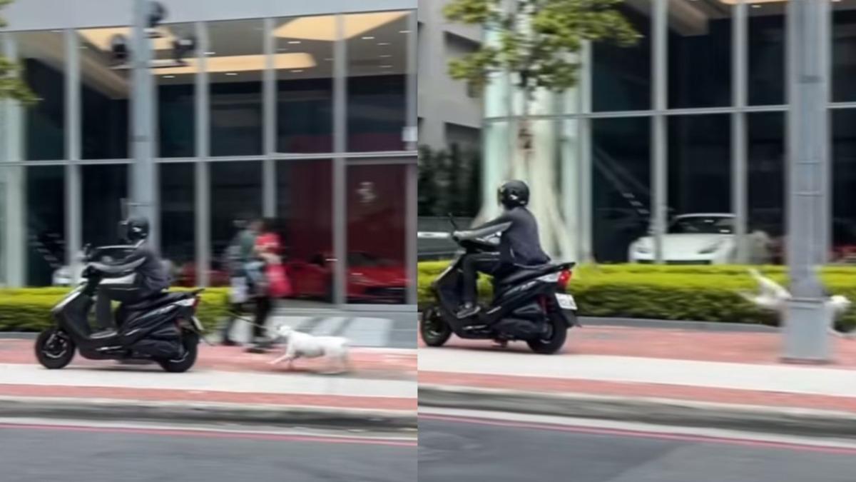 恐怖畫面曝!台中騎士「寵物綁後面遛」 愛犬頸部撞桿重摔