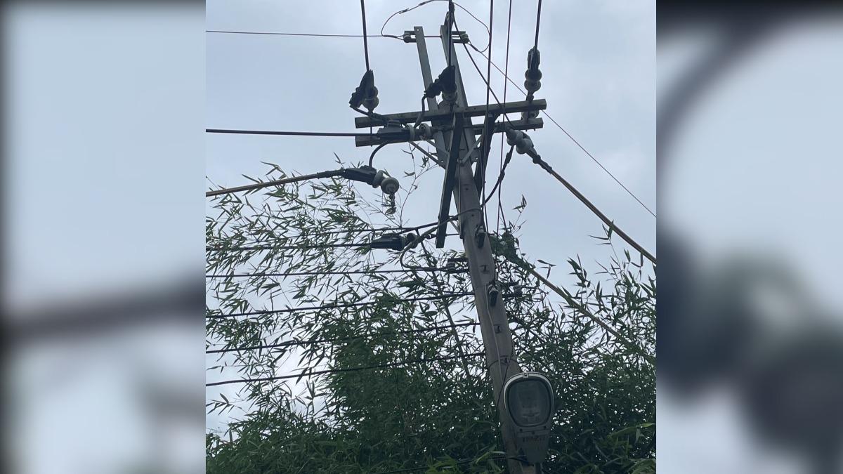 快訊／台中停電近2小時！逾3百戶黑濛濛　台電曝元凶：是竹子