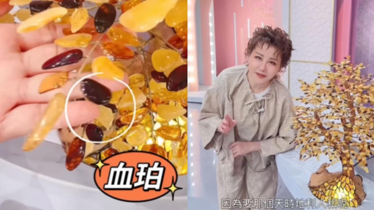 藍心湄將琥珀樹當寶!12星座必備「能量石」曝 財運暴漲不是夢