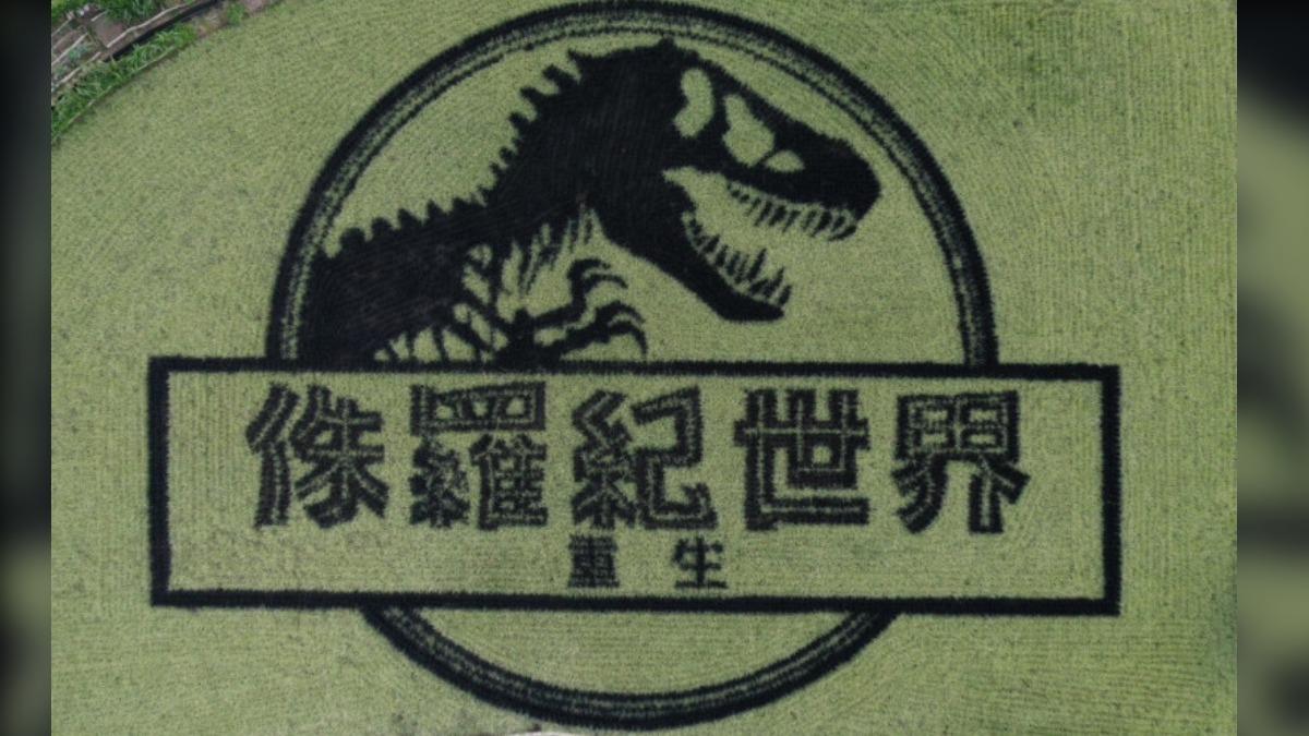 《侏羅紀世界:重生》在苗栗縣苑裡鎮打造超豪華稻田藝術。(圖/UIP提供)