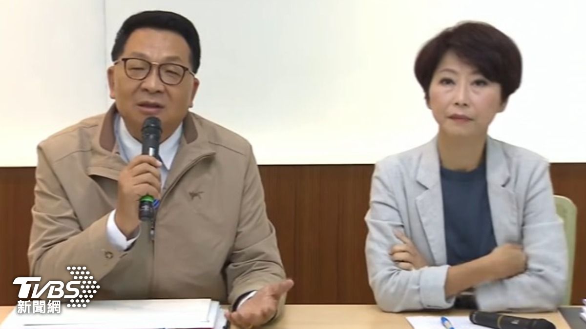 民進黨前立委 陳歐珀(左) 民進黨立委陳亭妃(右)(圖/TVBS資料畫面)