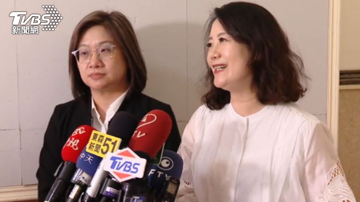 民進黨立委吳思瑤(圖/TVBS)
