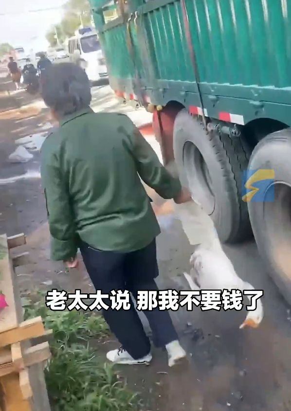 碰瓷-碰瓷詐騙-碰瓷假車禍-假車禍詐騙-碰瓷意思