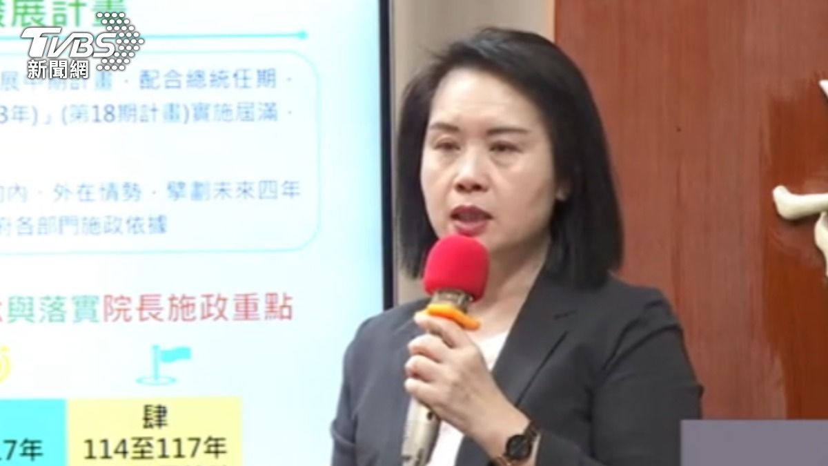 國安會秘書處長 張惠娟(圖/TVBS)