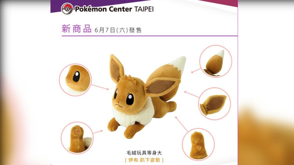 伊布等身大毛絨玩具，趴下姿勢。（圖／翻攝自pokemon_taiwan IG）