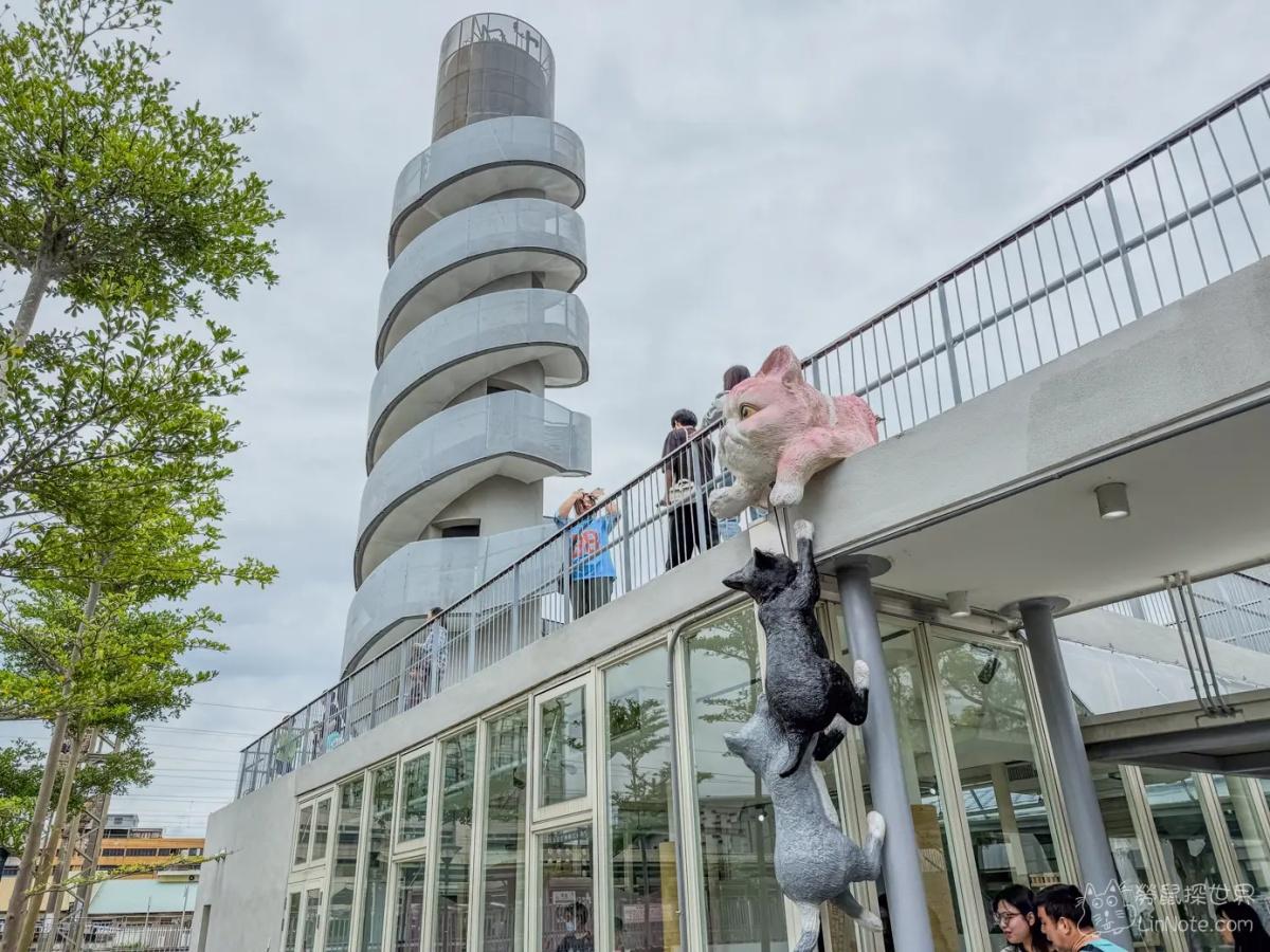 「擼貓館」是充滿貓貓元素的萌寵貓主題樂園,入內可與貓咪近距離互動。(圖/勞鼠探世界提供)
