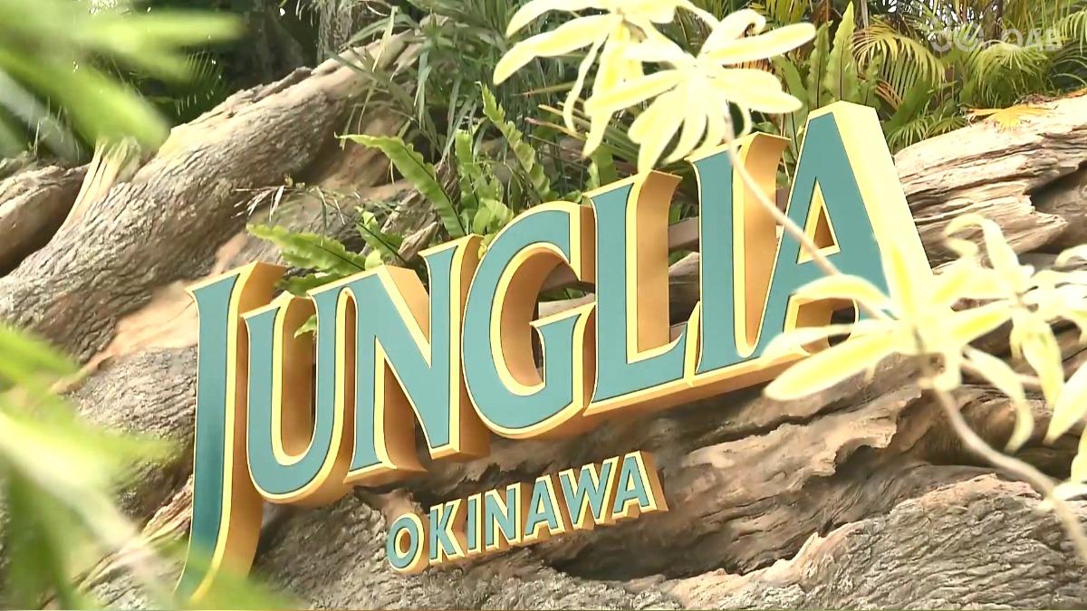 JUNGLIA沖繩，預計7月底開幕。 （圖／QAB琉球朝日放送）