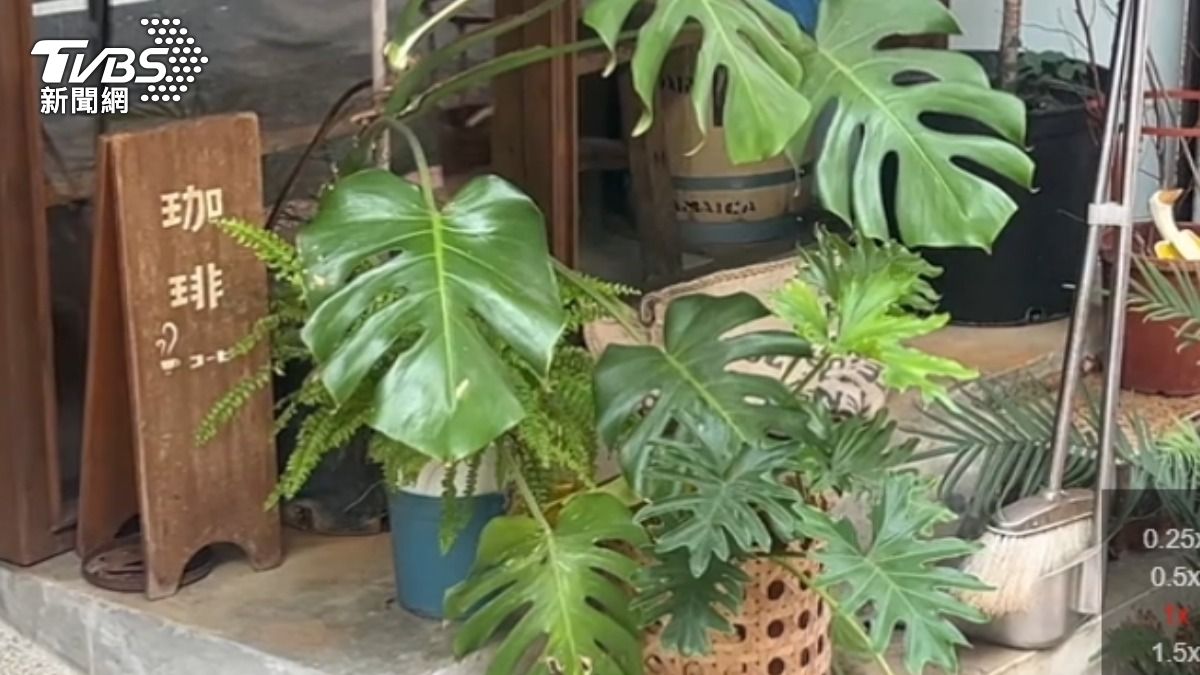 北市文青咖啡廳藏針孔!老闆偷拍女客長達13年 分類編號超變態
