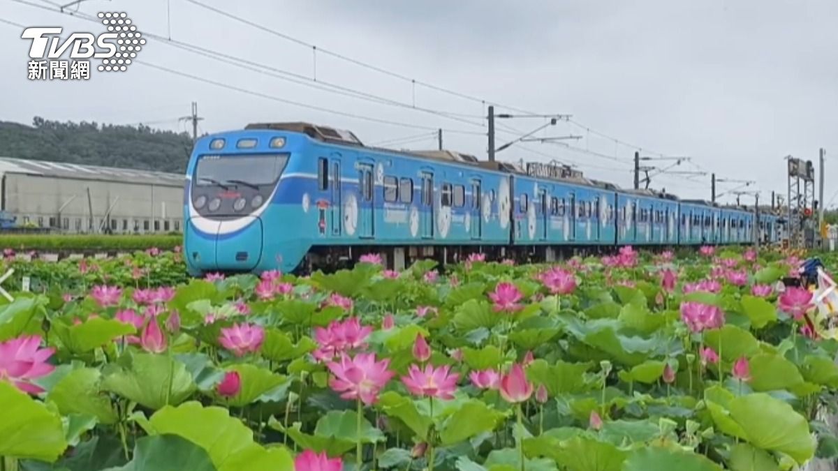 攝影迷拍荷花與冠軍棒球列車合影