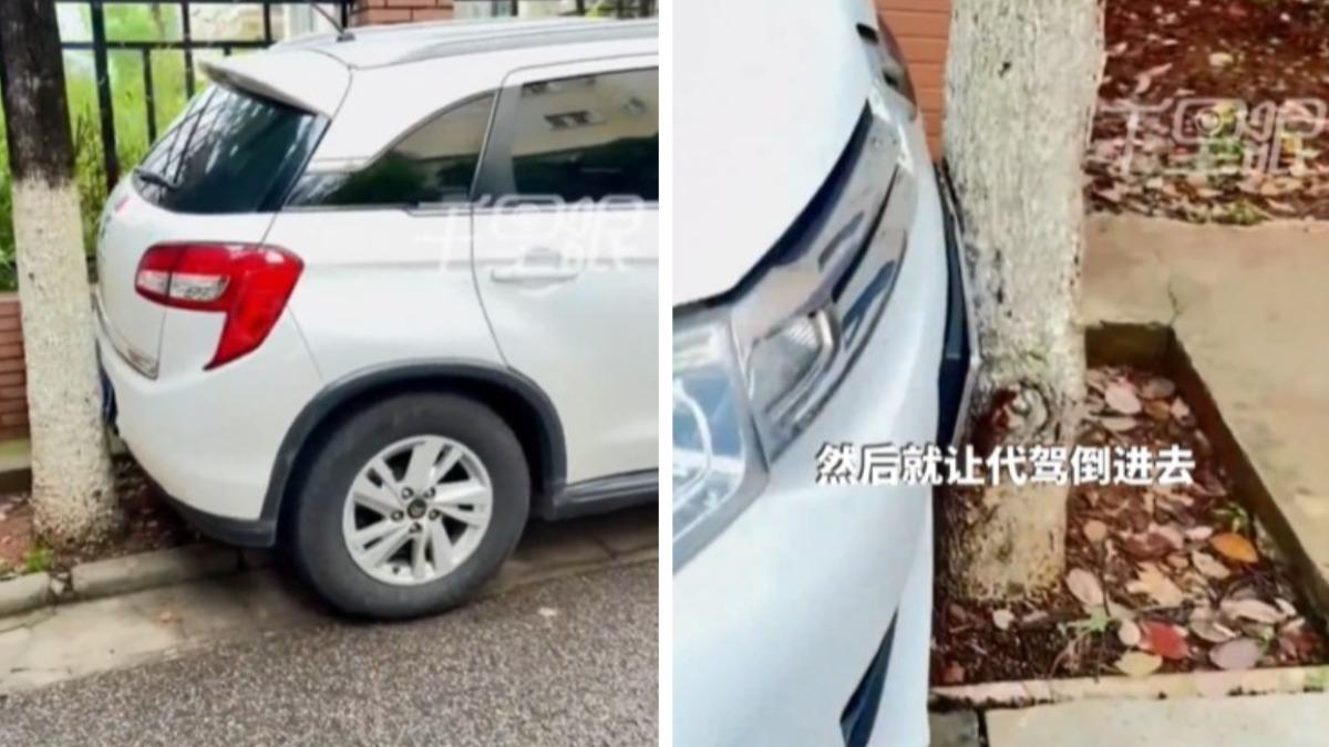 代駕停車「前後無縫隙」 陸車主酒醒嚇傻:兩棵樹後來種的?