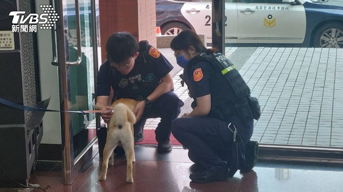迷途柴犬暖哭派出所!見警就蹭腿求抱抱。(圖/桃園分局)