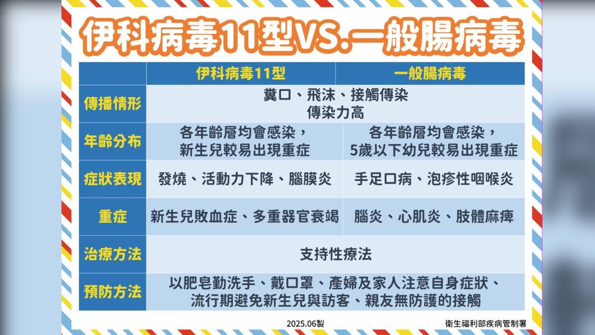 伊科病毒11型目前為國內流行大宗。(圖/疾管署提供)