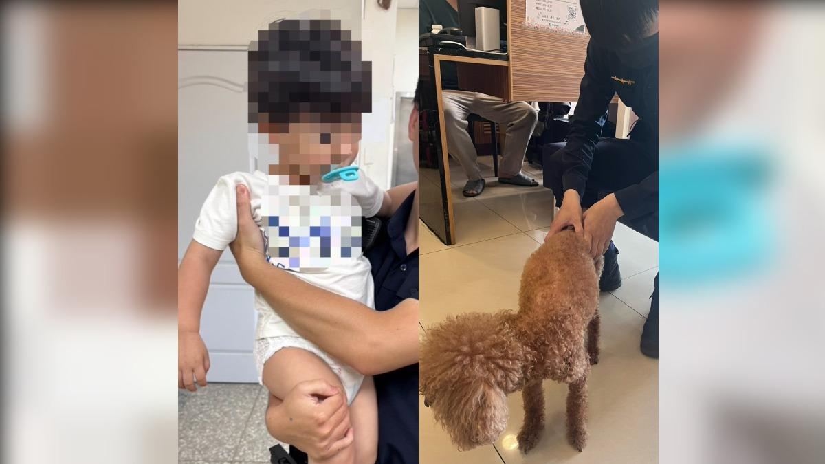 基隆2歲男童牽貴賓狗走失!警方靠晶片助父子團聚