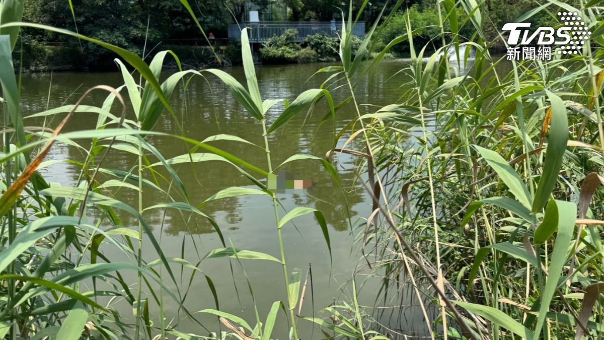 快訊／散步赫見水面有身影浮動　台南巴克禮公園飄出女浮屍