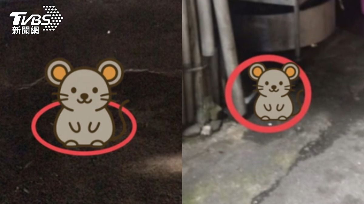 新竹烤鴨名店驚見老鼠逃竄,爆衛生隱憂。(圖/TVBS)