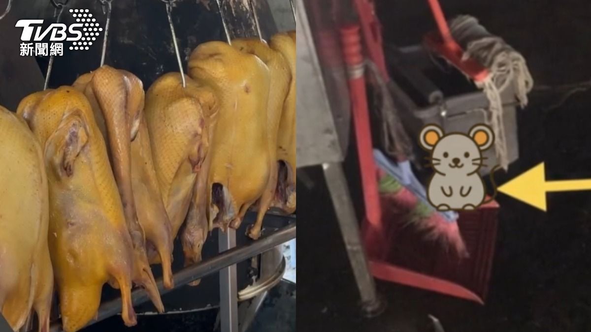 知名烤鴨店被發現老鼠逃竄,環保局將開罰。(圖/TVBS)
