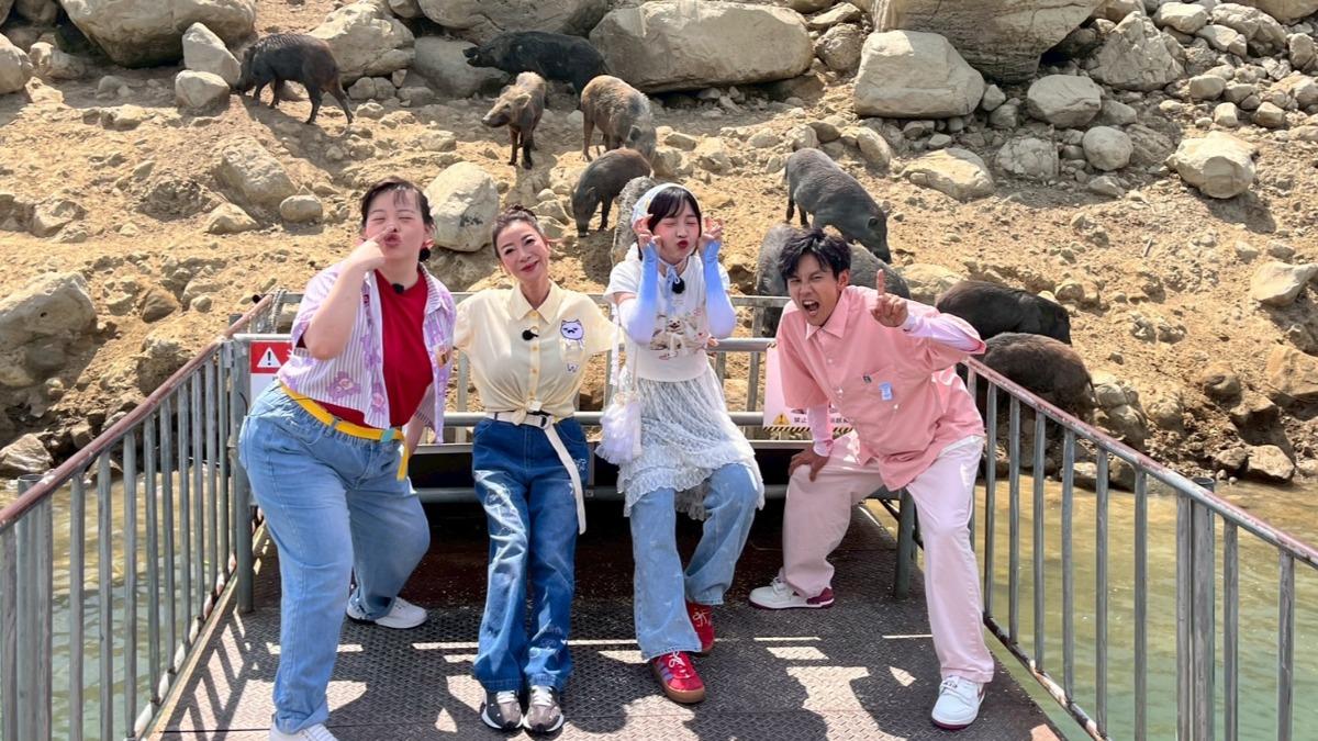女星路邊攔車遭拒載! 楊繡惠開唱破音「山豬」驚喜現身