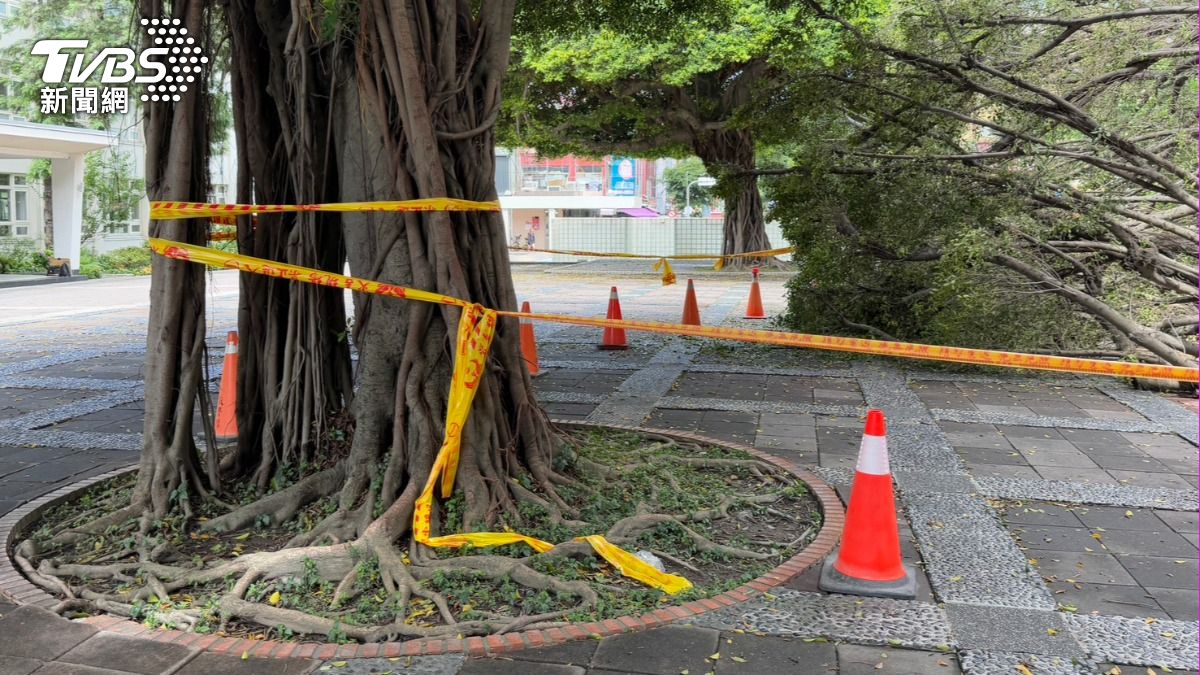 這起事件造成1死1傷的悲劇。（圖／陳祁攝）