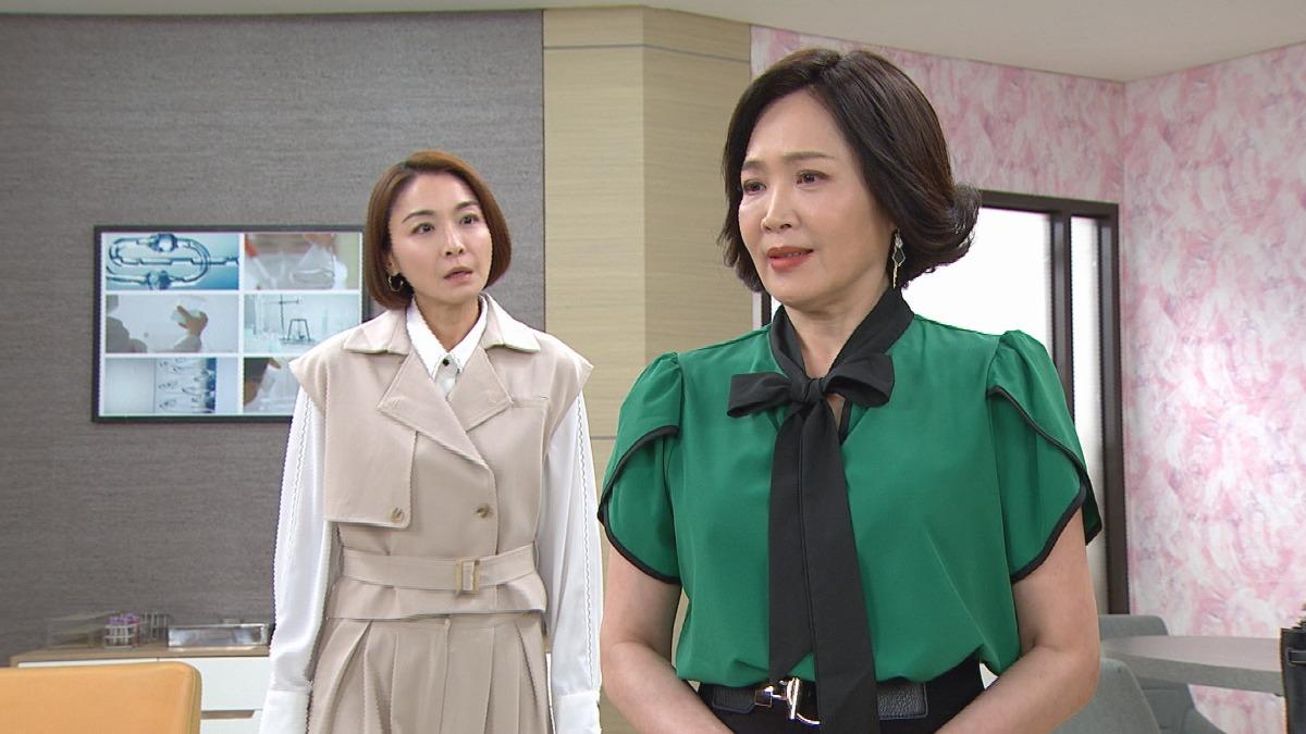 江祖平狂挨林秀玲巴掌。(圖/三立提供)