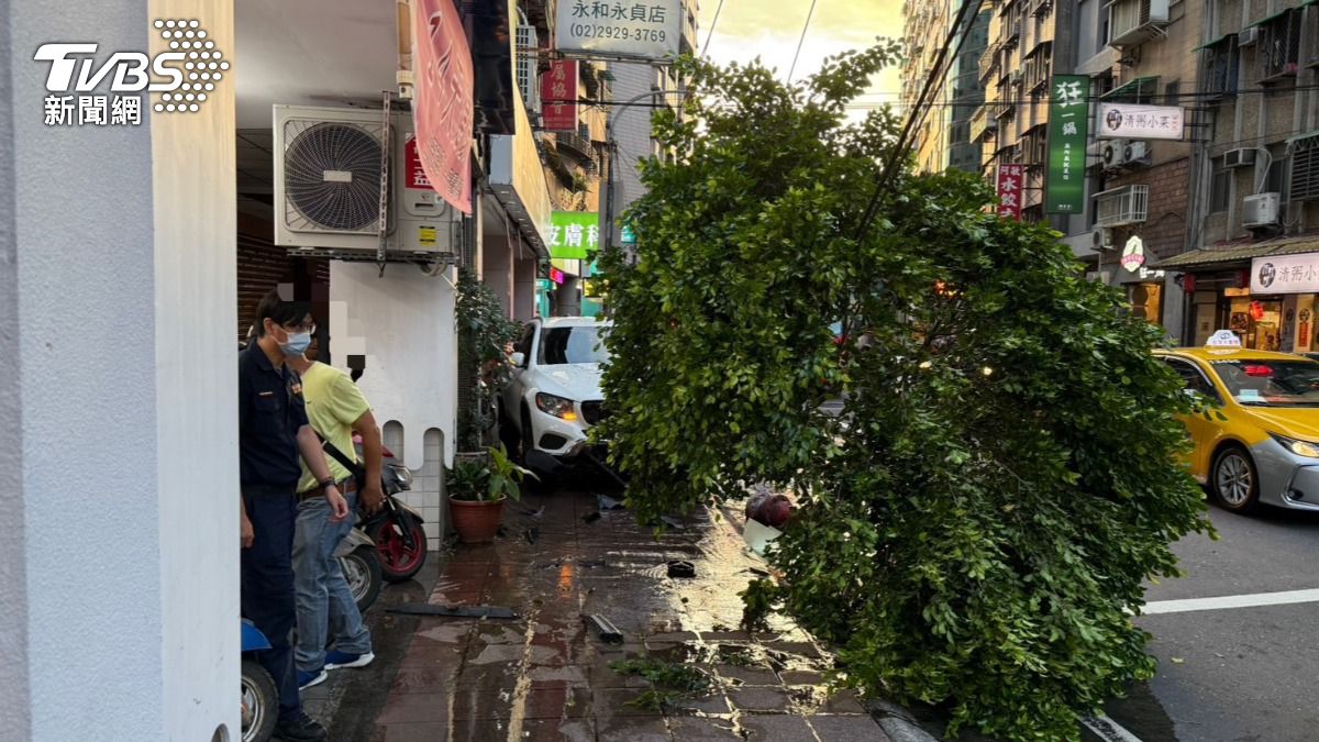 撞擊力道強大,導致路樹倒塌、消防栓被撞斷,還造成約20公尺長的電線扯落。(圖/TVBS)