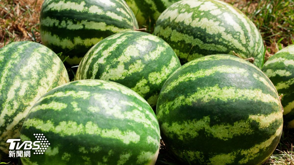 西瓜怎麼挑才好吃?農業部教「3招」保證甜 用聽的就知道