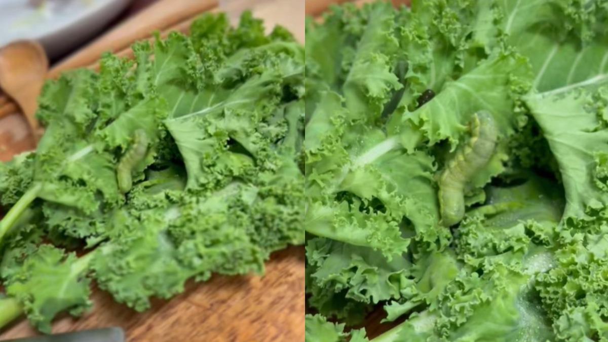 好市多買1蔬菜!打開驚見「巨大毛毛蟲」 網推爆:是好事