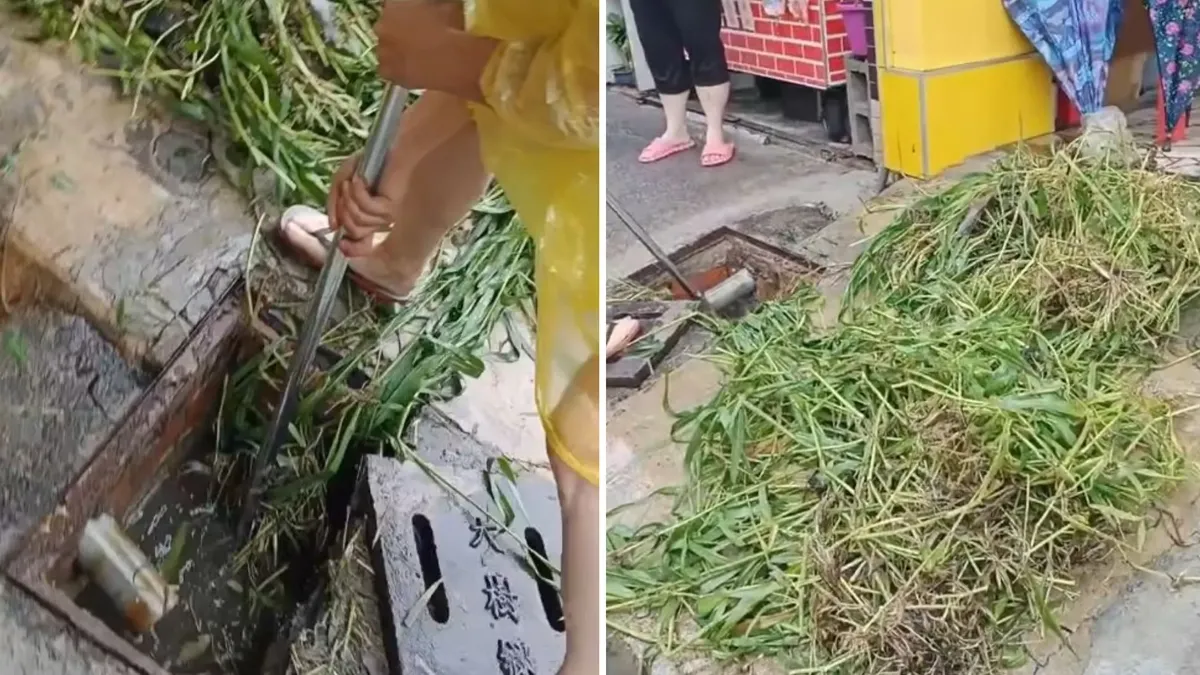 高雄大雨水溝堵塞!「600公斤雜草」在裡面 網怒:都沒清嗎?