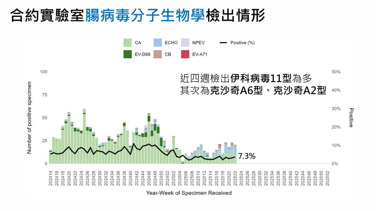 新生兒腸病毒大多以伊科病毒11型為主。(圖/疾管署提供)