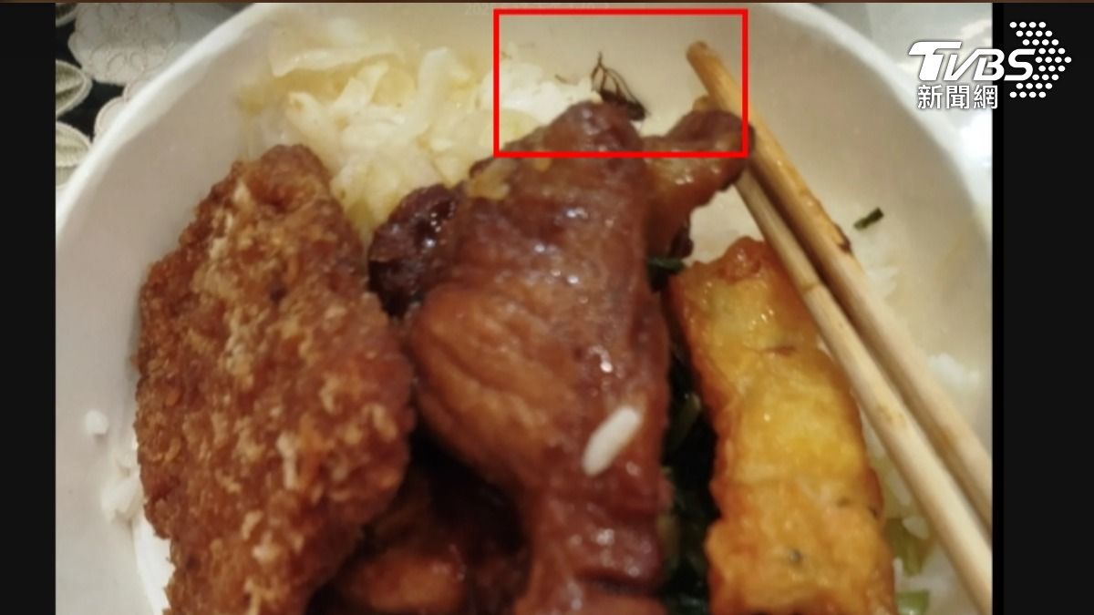 台鐵便當驚見觸角！男吃到一半「牠」嚇壞（圖／當事人賴先生提供）