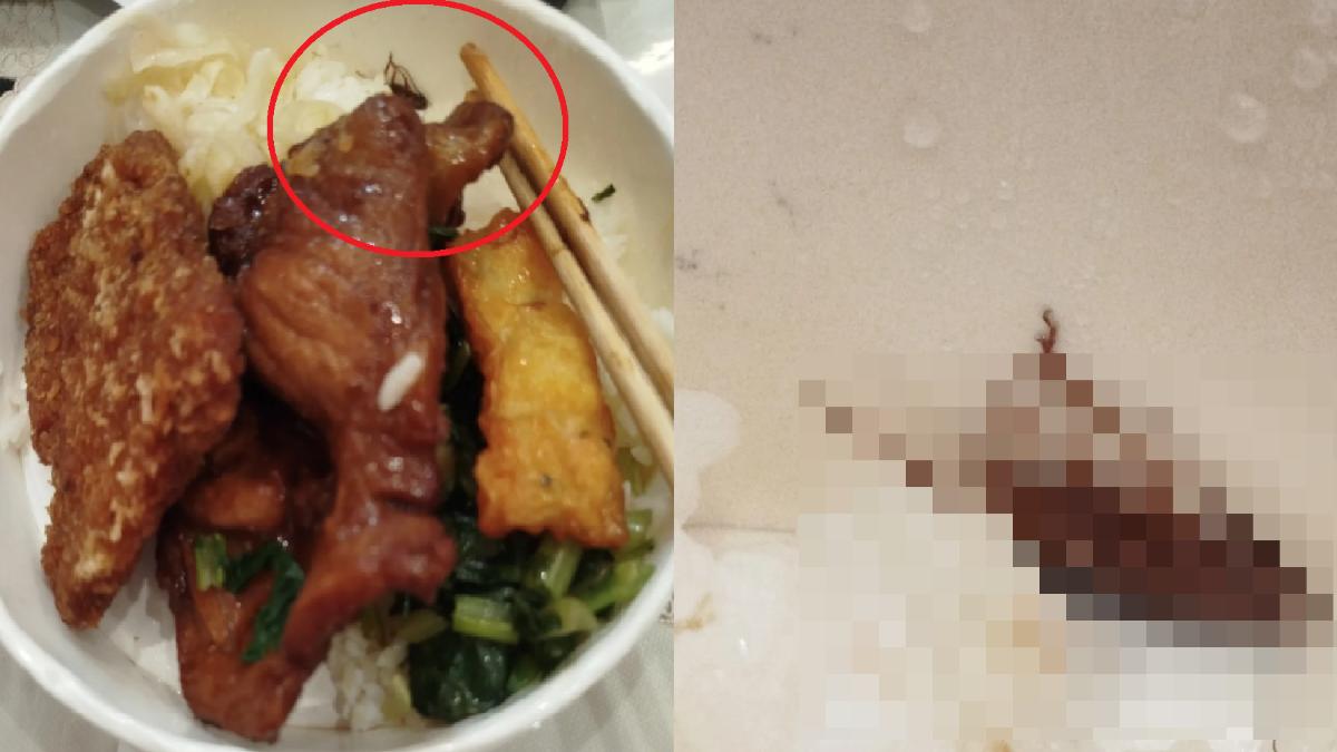 台鐵便當又出包!左營站驚見「原型蟑螂躺屍」 網怒:太誇張
