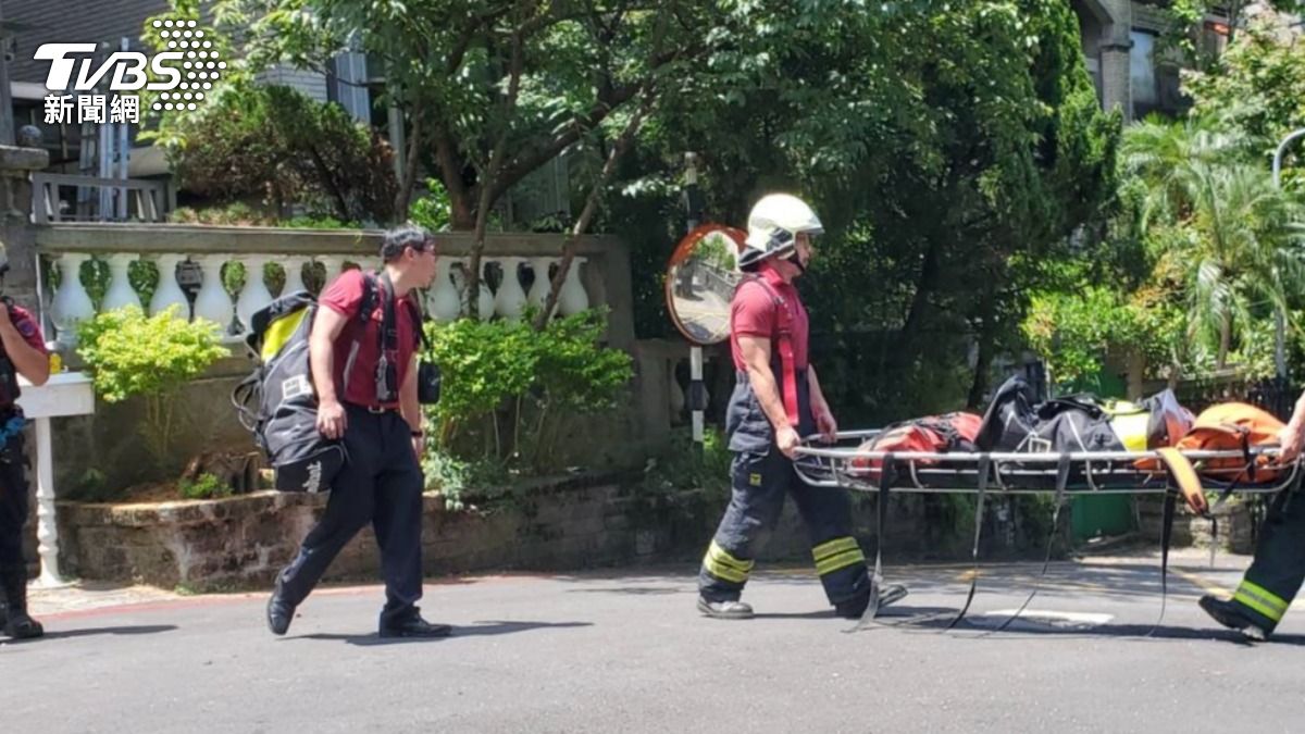快訊/北市內湖捕蜂人出意外 卡樹上命危送醫