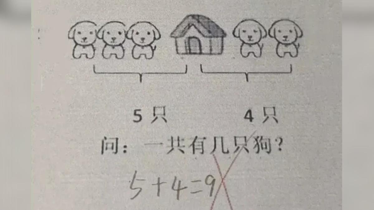陸國小數學題圖片中有幾隻狗?答案不是9隻 家長被考倒:太狠了