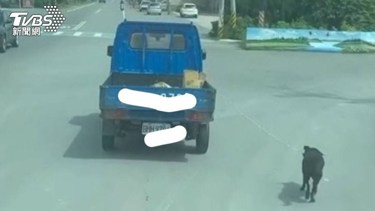 彰化埔心,有民眾直擊小黑狗被綁著,栓在後車斗,被迫跟著車跑。(翻攝爆料公社)