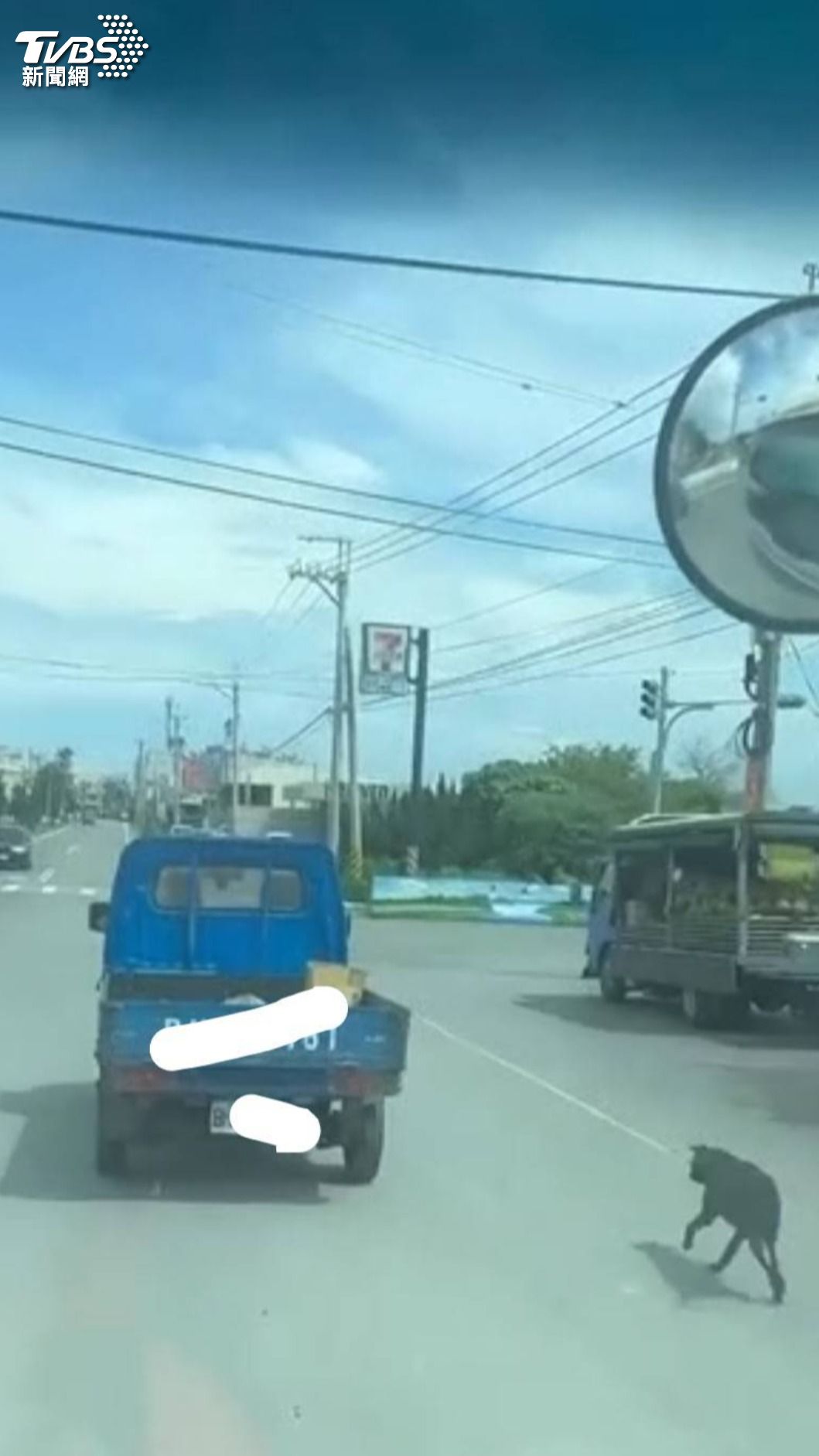 小黑背狗栓在後車斗跟著車跑,看起來又熱又累的樣子,讓人心疼。(翻攝爆料公社)