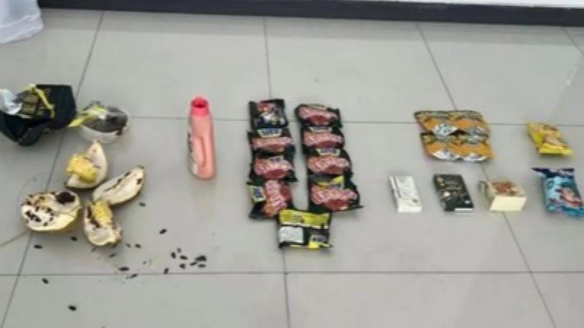與女友吵架心情差！陸男子竟從11樓高丟榴槤洩憤
