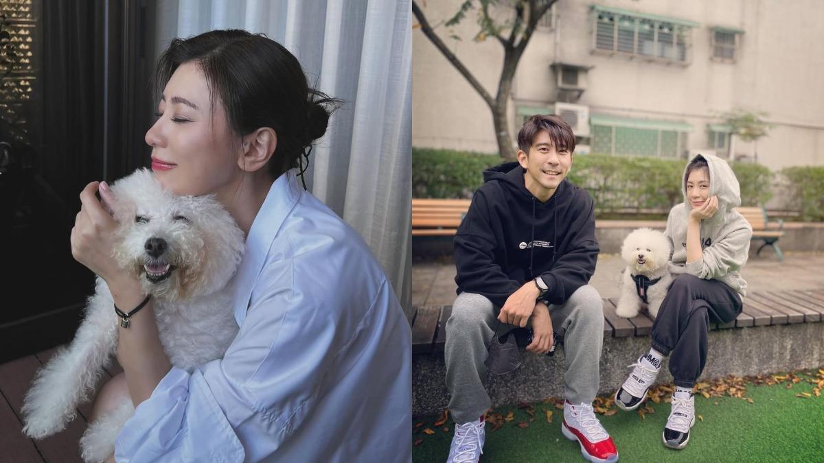 賈靜雯愛犬過世!梧桐妹痛別「唯一家人」:謝謝妳15年的陪伴
