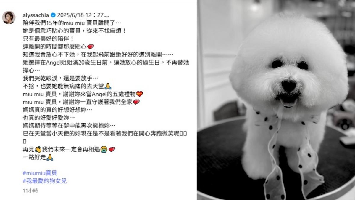 賈靜雯在個人社群平台上發文悼念,字字句句滿是對miu miu的深情與不捨。(圖/翻攝自賈靜雯IG)