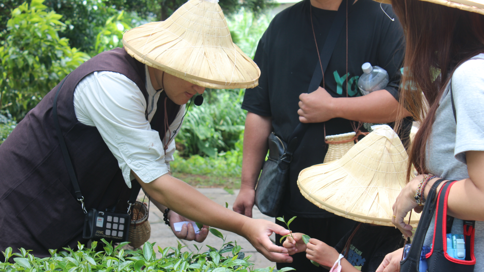 ▲臺灣客家茶文化館結合採茶體驗,深入介紹客茶文化及產業。(圖片來源:桃園市政府)