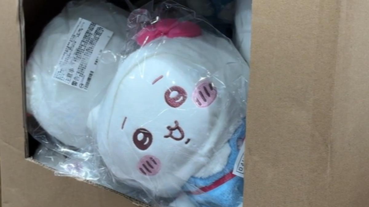 上班請假也要搶！粉絲衝現場買整袋聯名娃娃。（圖／TVBS）