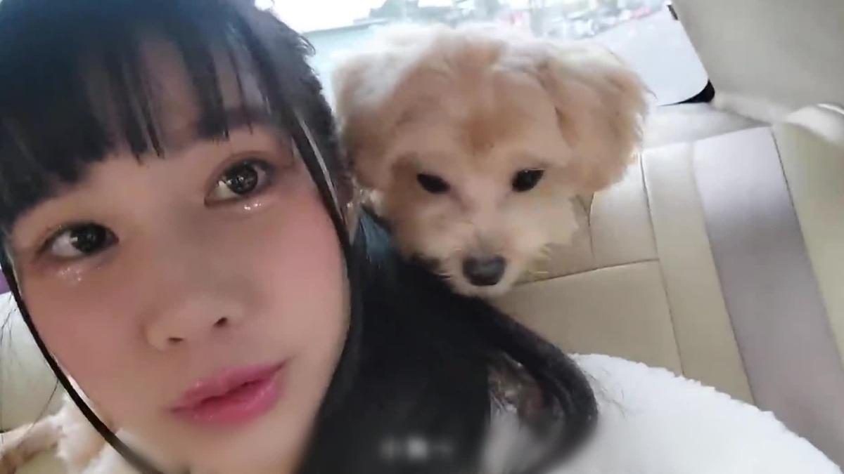 筠熹常PO和愛犬互動的影片。(圖/翻攝筠熹IG)