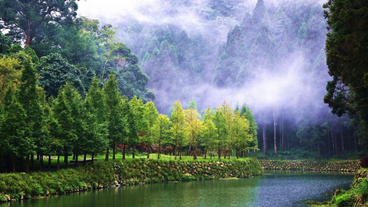 杉林溪森林生態渡假園區。（圖／翻攝自愛上杉林溪臉書）
