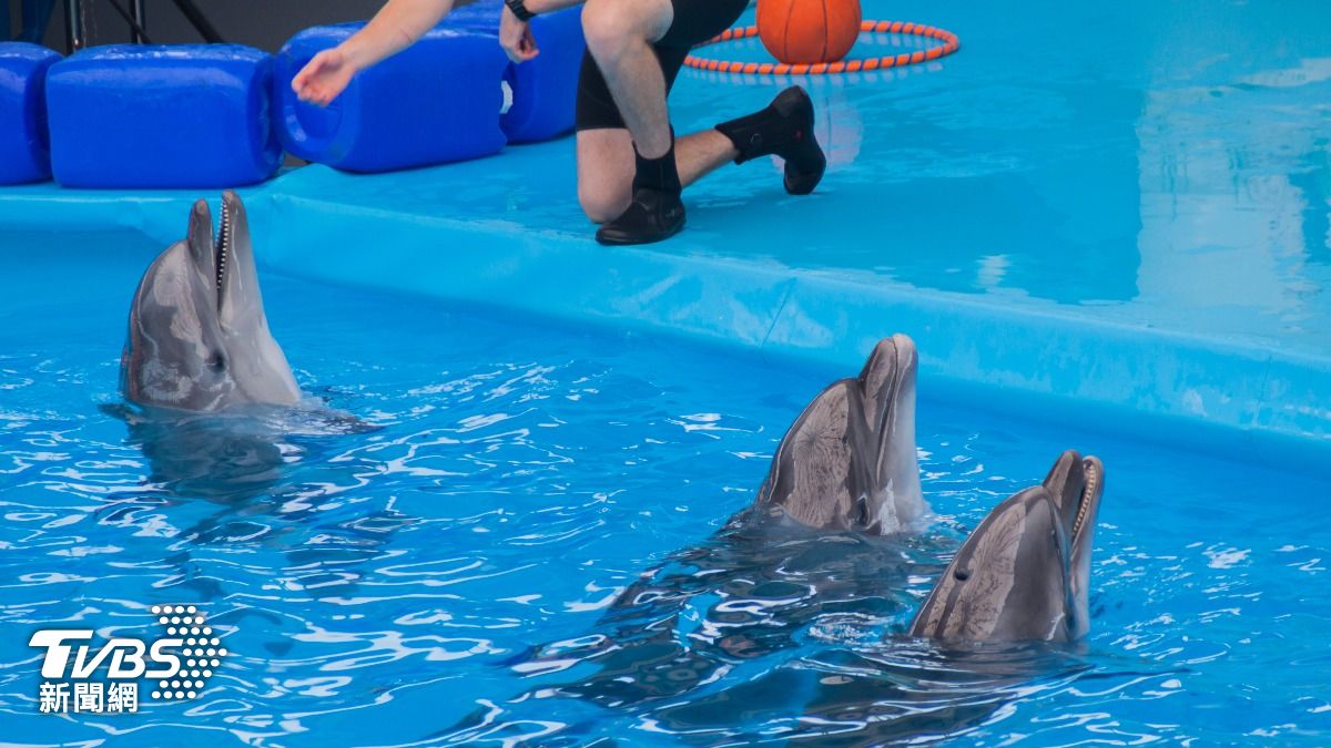 陸海洋公園徵人!符合3條件「月收12萬元」 每天才上班2小時